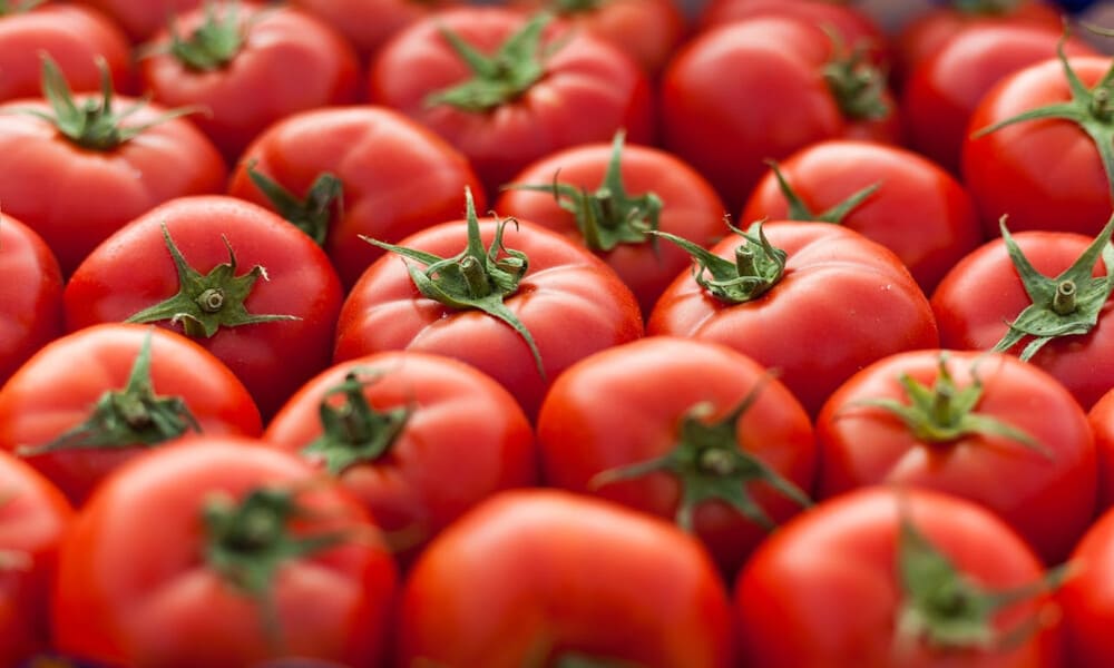 Tomat Sayuran Berwarna Merah Dengan Manfaat Kesehatan Beragam