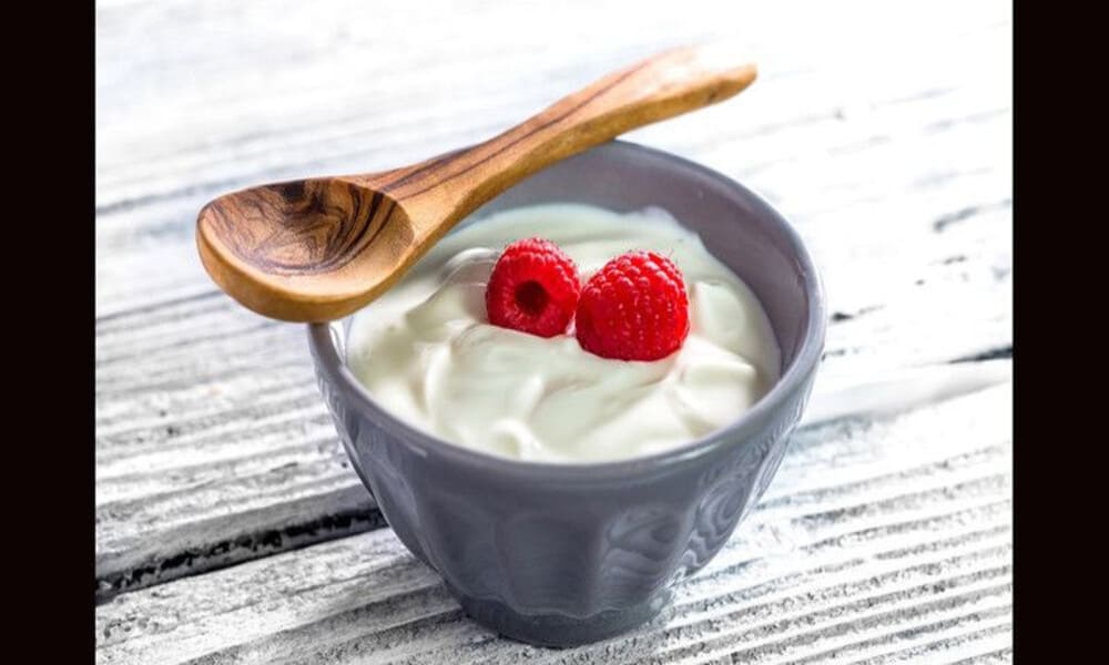 Yogurt Yunani Makanan Sehat Untuk Tubuh Yang Kuat